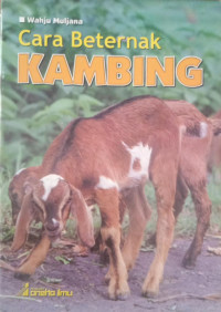 Image of Cara Beternak Kambing